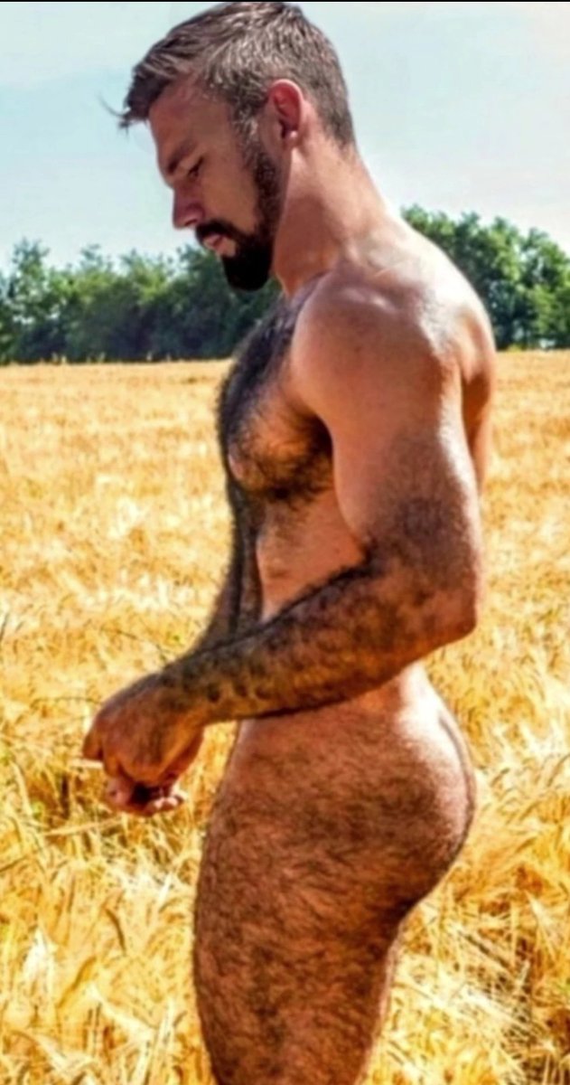 Instagram.com/hairymenaddict_
<a href="/boysmeetboys1/">boysmeetboys</a>