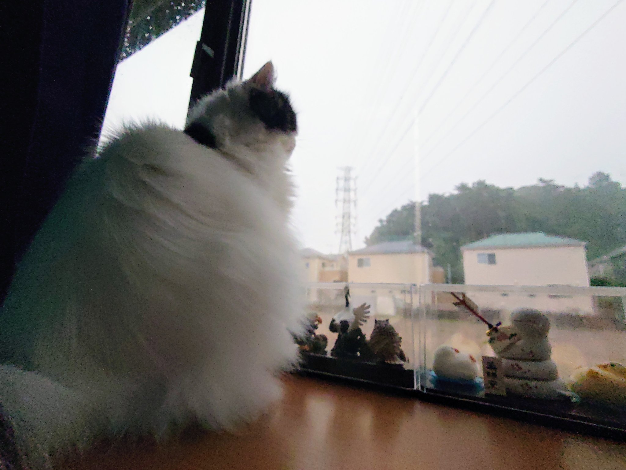 【ハピネスページ】猫さん4体 SPACE SHIP'S CAT Zitto & Gatito（スペースシップス・キャット