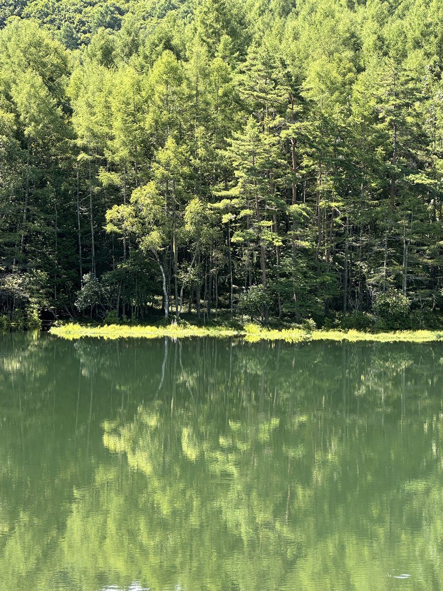 山下宏明 Hiroaki Yamashita (@yamacimo) / Posts / X