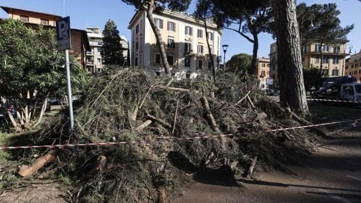 Manutenzione del verde, 23 tecnici a giudizio per 614 alberi caduti roma.repubblica.it/cronaca/2025/0…
