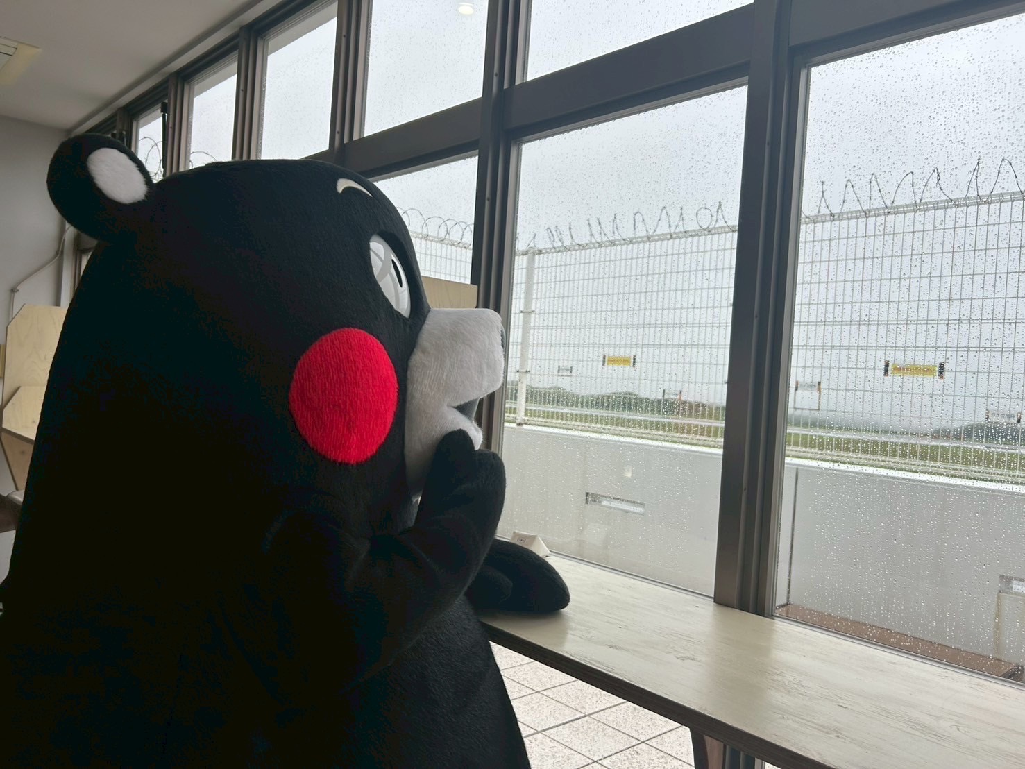 くまもん くまモン【公式】 (@55_kumamon) / X