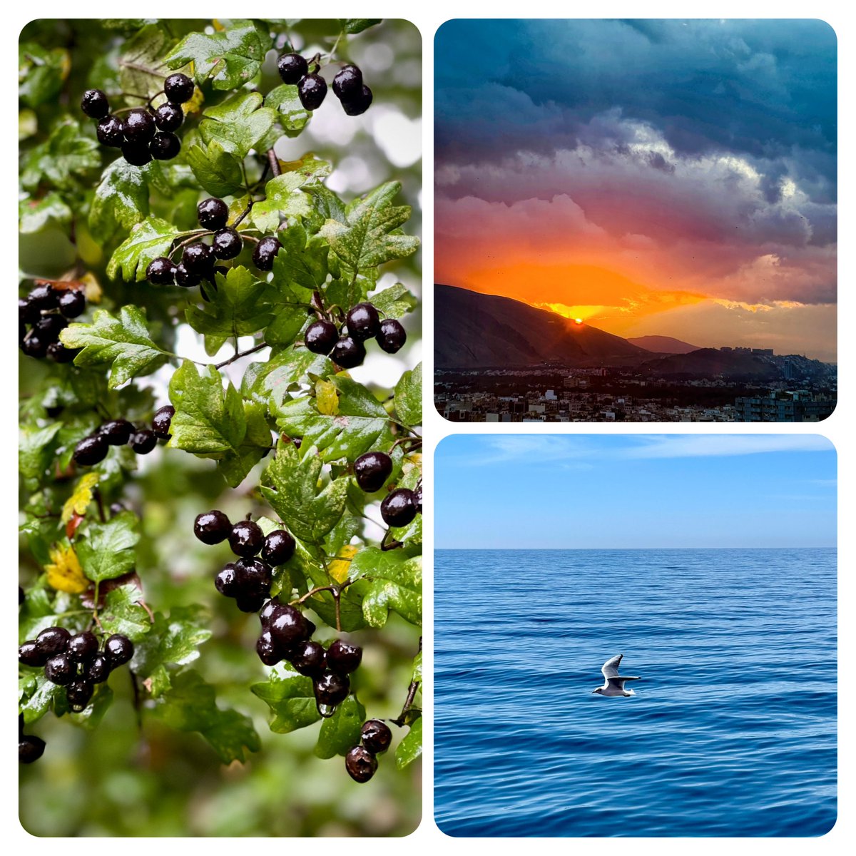 Gm Gm X Fam #AEW 

Happy Friday 🤍

My photos on Objkt 

objkt.com/users/tz1Nc17q…

#sama_samanian #photograghy