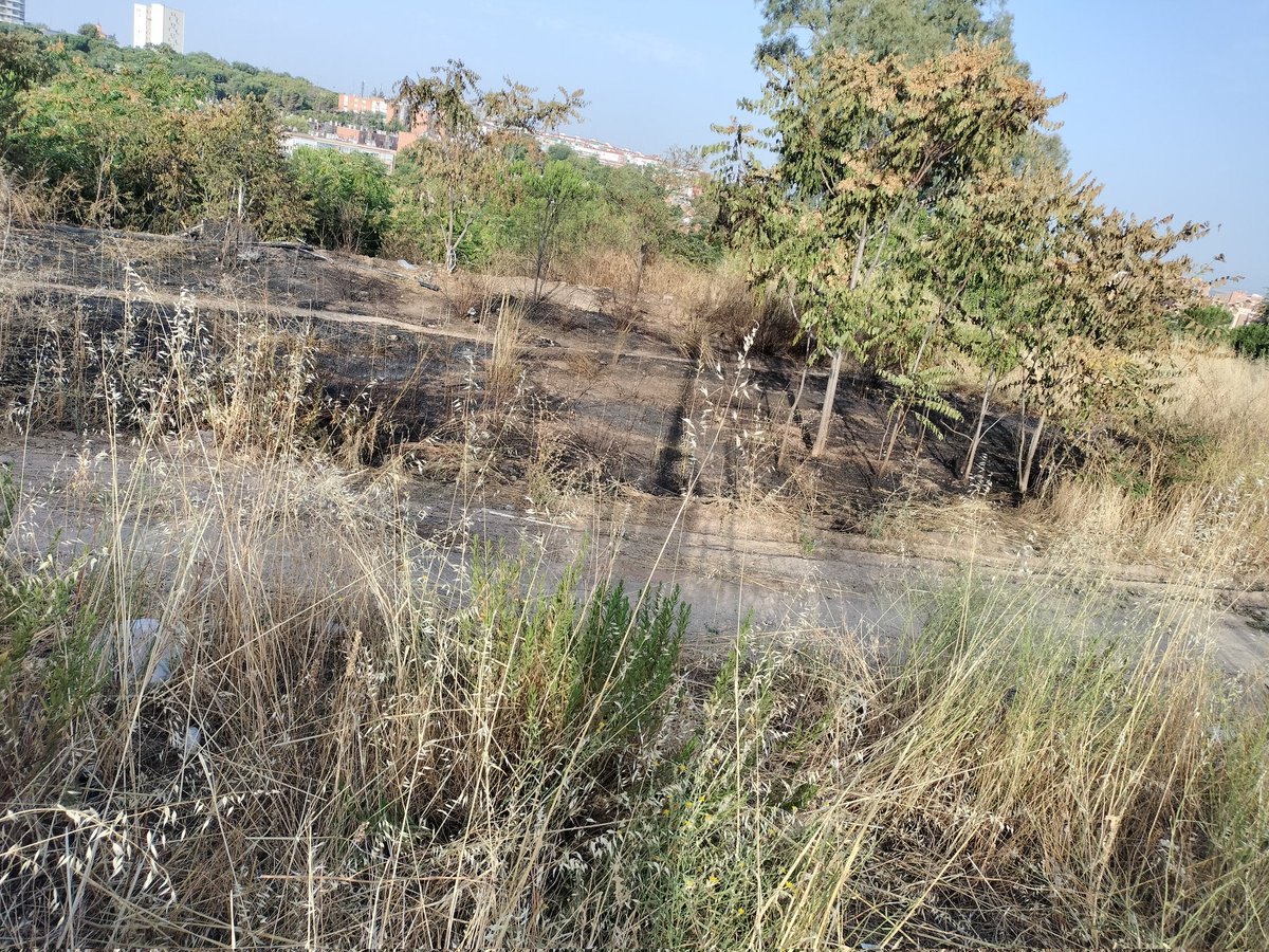 Isidro Carmona (@isidrocarmonac) on Twitter photo Otro conato de incendio en el poblado chabolista del parque Rodríguez Sahagún en #Tetuán #Madrid
Se aprecia resto de una infravivienda.
¿Habrá que esperar a que haya víctimas?
<a href="/JMDTetuan/">Distrito Tetuán</a>
<a href="/MADRID/">Ayuntamiento Madrid</a> Otro conato de incendio en el poblado chabolista del parque Rodríguez Sahagún en #Tetuán #Madrid
Se aprecia resto de una infravivienda.
¿Habrá que esperar a que haya víctimas?
<a href="/JMDTetuan/">Distrito Tetuán</a>
<a href="/MADRID/">Ayuntamiento Madrid</a>