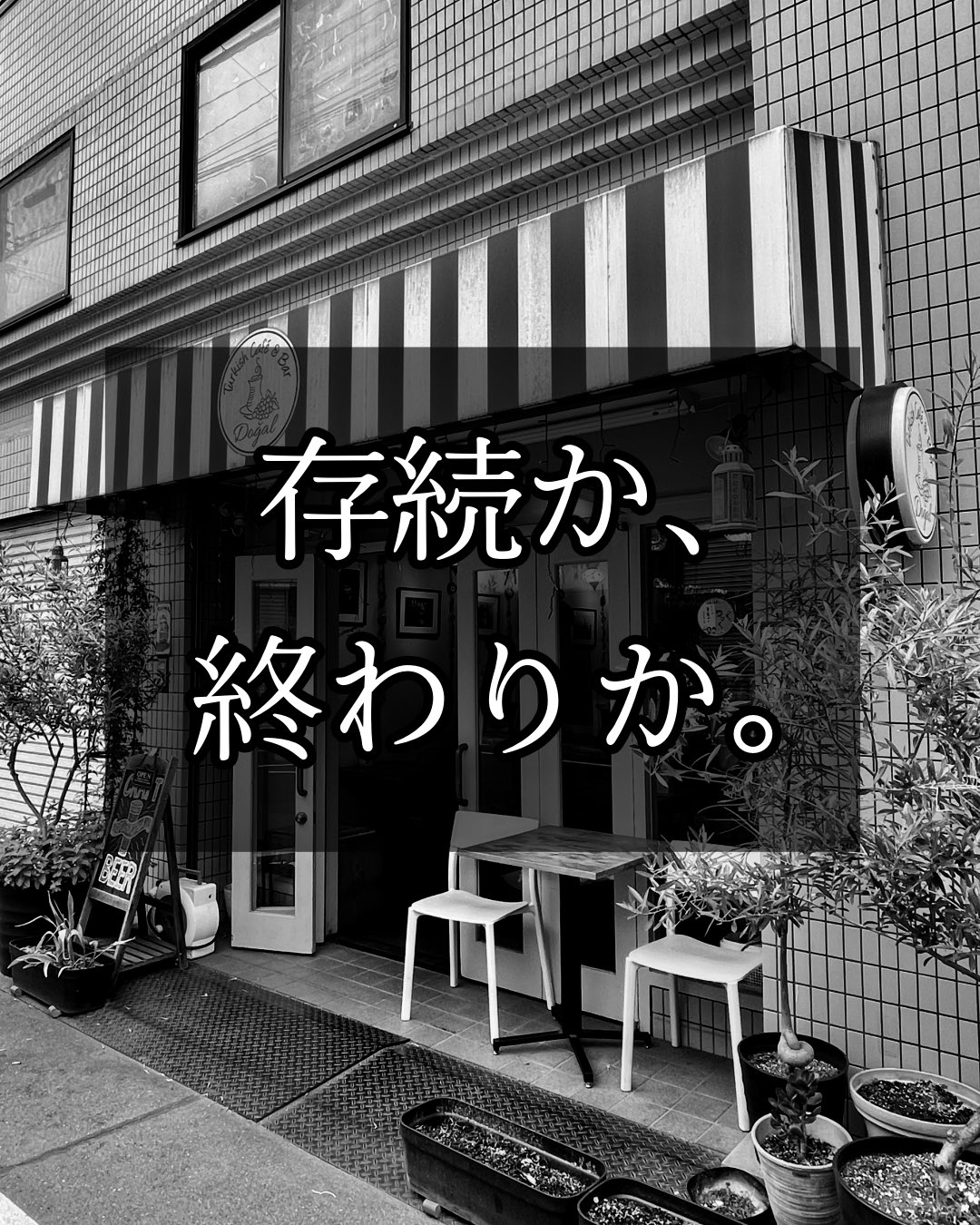 s. ご購入の際はコメントお願い致します Dogal Official on X: 