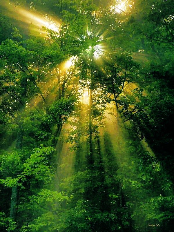 Good morning X 🫶🏻
#Thursday #morning 
#coffee #wakeup