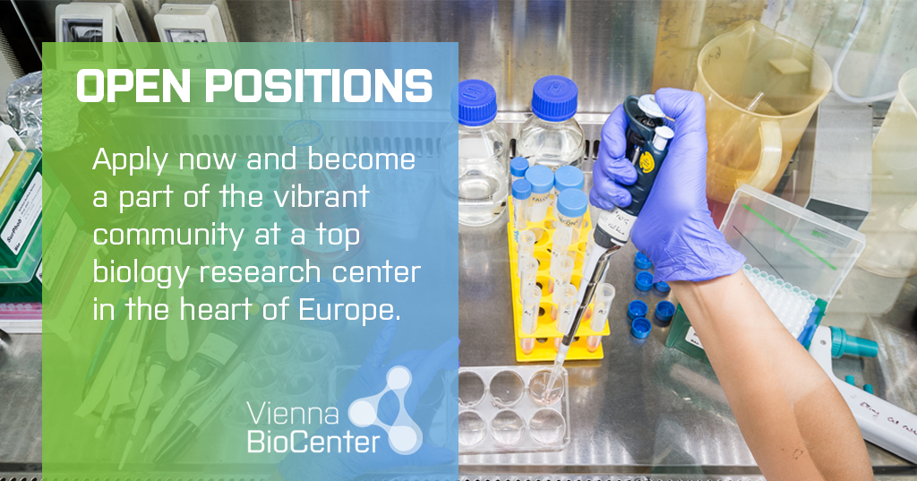 Our career section offers a mix of possibilities for those of you looking for a new position! Take a look: viennabiocenter.org/career/open-po…

#viennabiocenter #hiring #lifescience #biotech