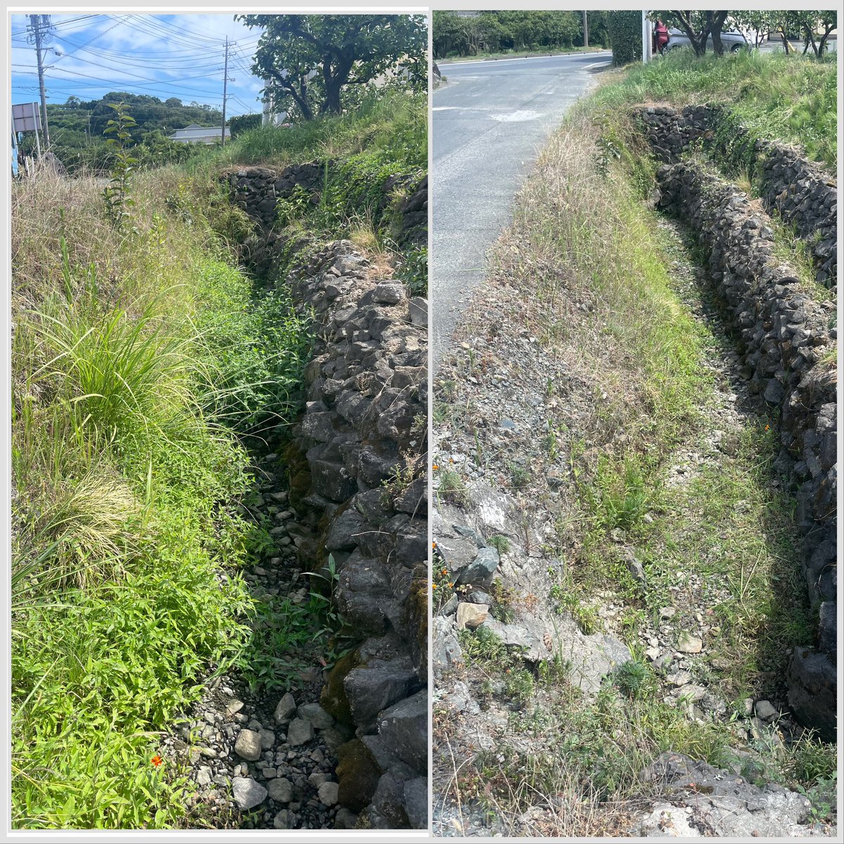 休み前なので水路の草刈りをした。
雨水は流れていないが草がシゲっている。
やはり植物には適応な土地なのだ。
水が必要な野菜でも植えてしまおうかな
所有権が生じない勝手に野菜。
雨が降ったら流れるけどな。