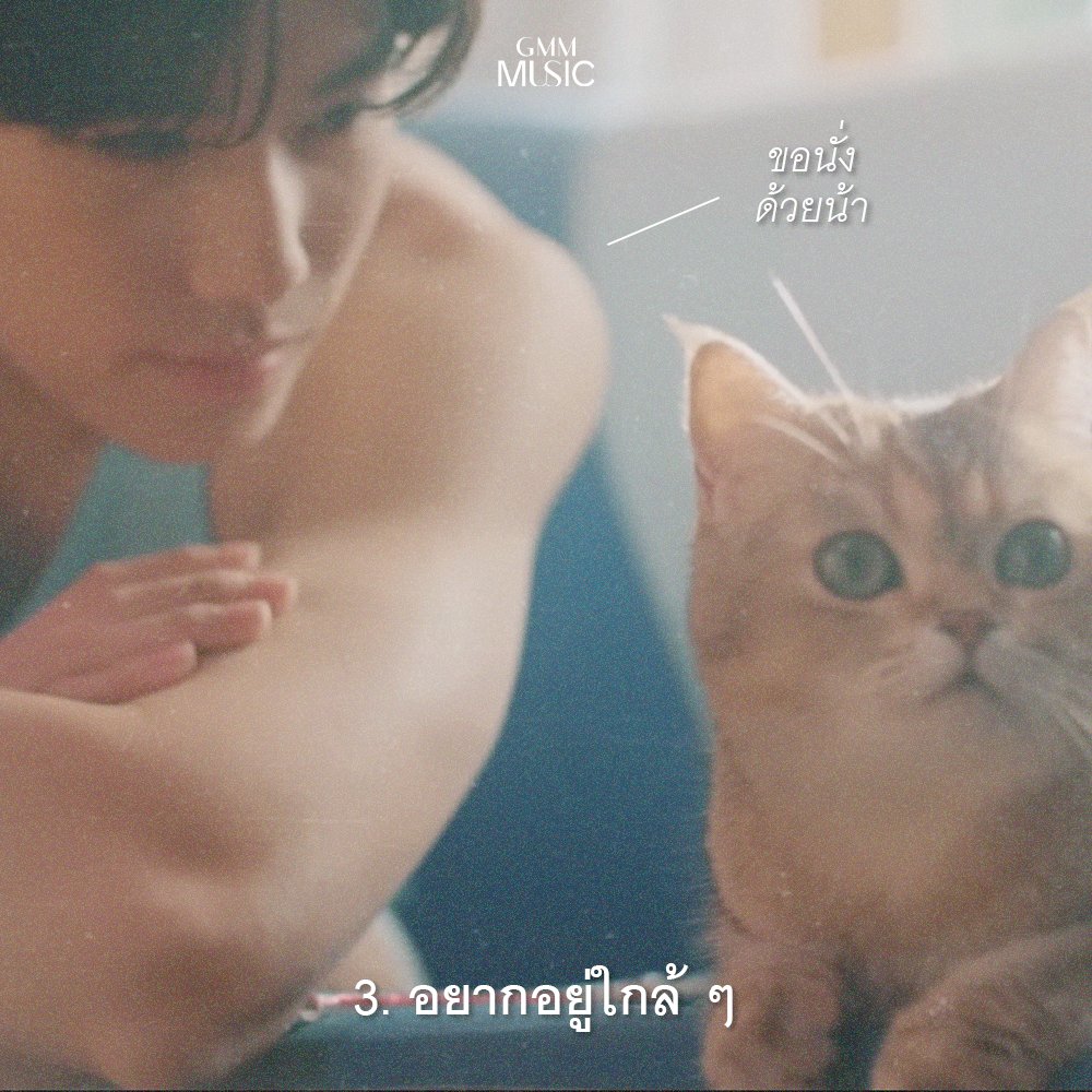 มีแมวยังค้าบ เติมแมวหน่อยมั้ยย  ฅ^._.^ฅ 

📷 : youtu.be/IGuoJ6yfTTg

#เอ็นดู #phuwintang
#Paradox8 #GMMMusic