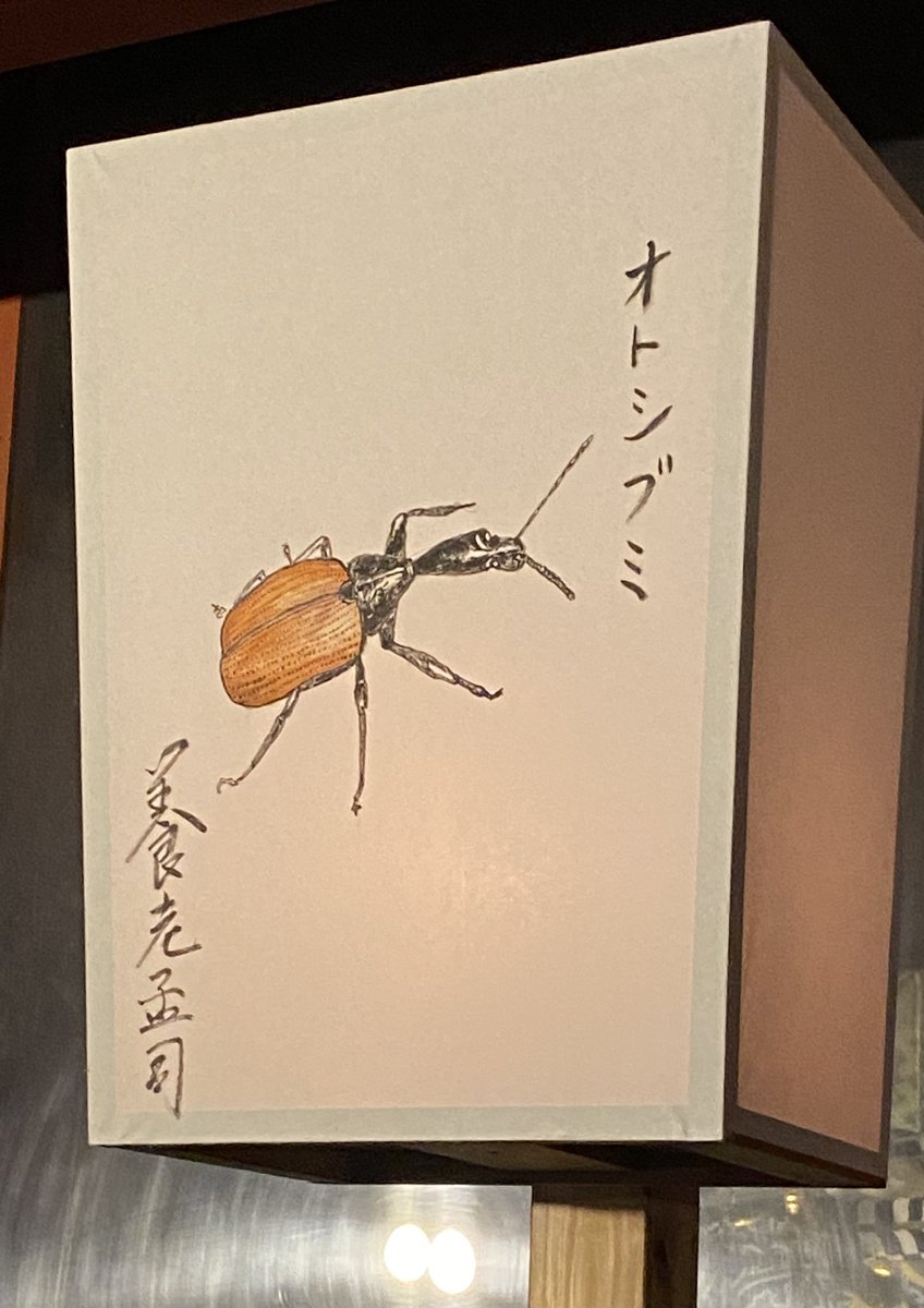 unya01's tweet photo. 鎌倉鶴岡八幡宮「ぼんぼり祭」
鈴木英人さんと、養老孟司先生のぼんぼり絵 https://t.co/Ij7iDMiTc9