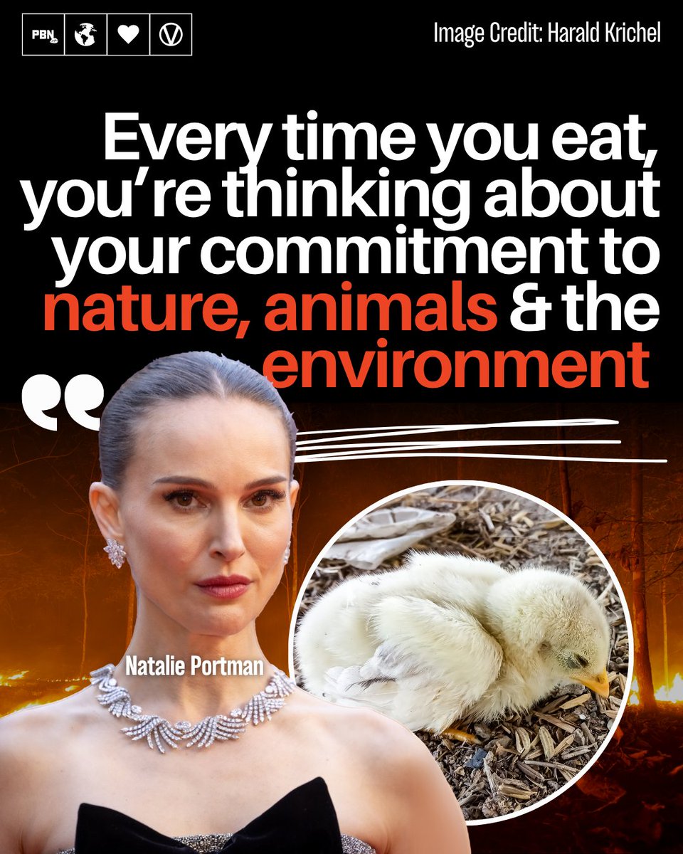 Change starts on our plates 🍽️

Even if you just opted for one plant-based meal a day, that would have a huge positive impact on our environment 💚
