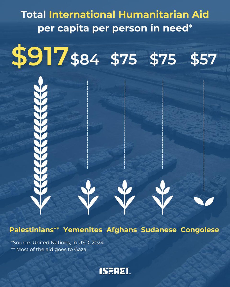 Famine in Yemen.
War in Sudan.
Crisis in Congo.

Yet, Palestinians receive 10 to 35 times more aid per capita than people in need in other conflict zones.

All persons in need are equal, but apparently some are more equal than others.