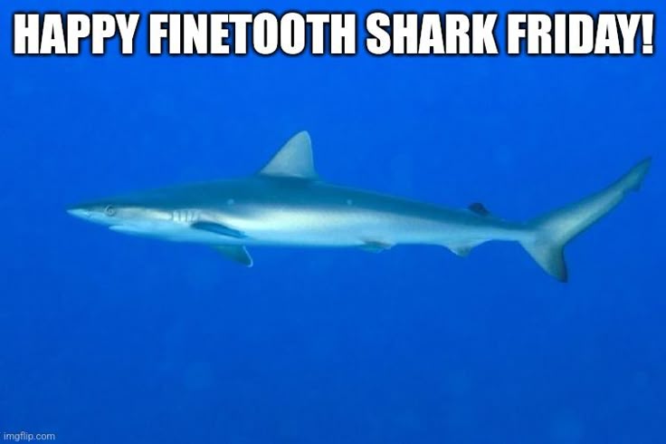 подушка чайная (@lotengotea) on Twitter photo 