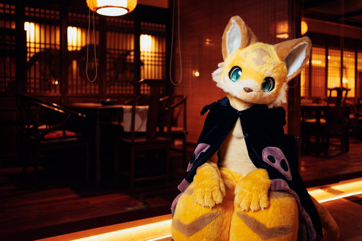 #FursuitFriday 
📷：<a href="/chungou_cn/">📸風剣　NEXT👉万兽汇</a>