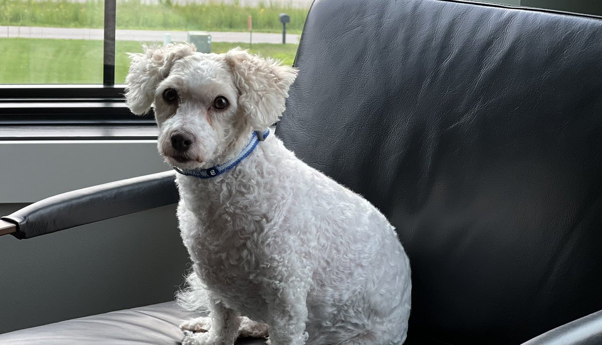 <a href="/NixtoWitt/">From Witt to Nix</a> Hey Lucy!!! Winston says hi too!