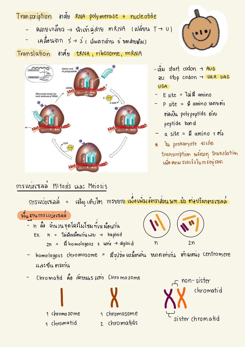 ARTHUR TUTOR tweet media