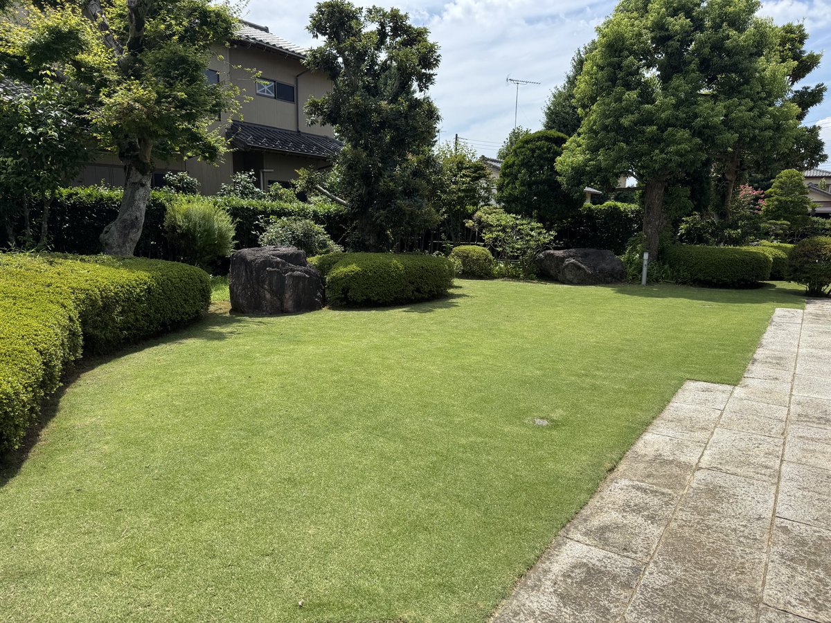 炎天下芝刈り
がんばった💪