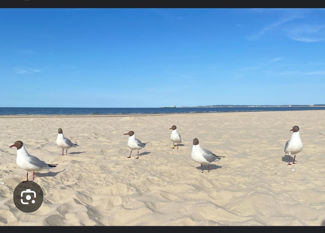 Καλημέρες 🌹🥰☕ 
Μια υπέροχη σέξυ Παρασκευή να έχουμε 🤗🤗🤗
