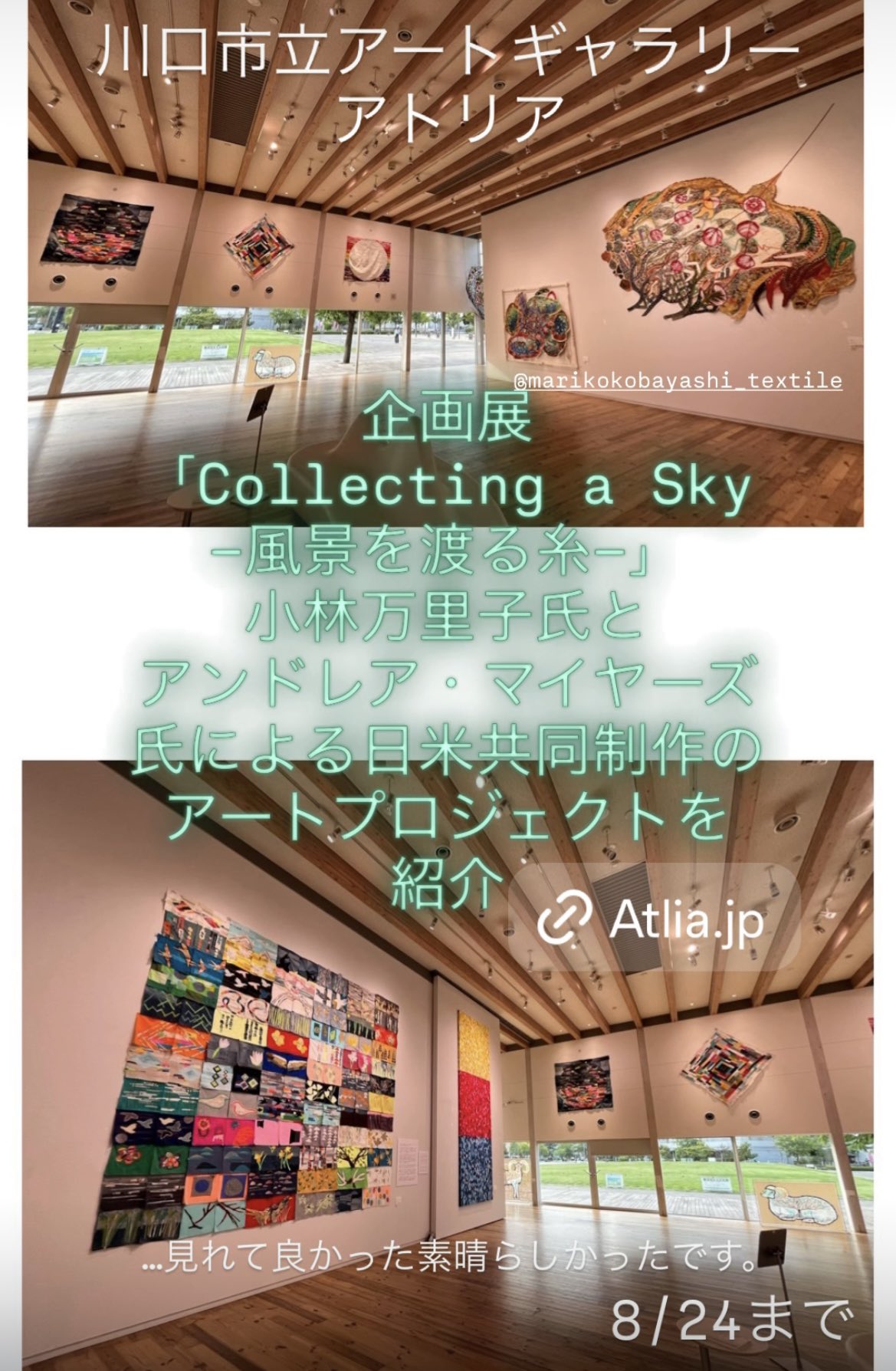 【限定500部 特装版】 小林大吾 / 小数点花手鑑 + パン屋の1ダース EVERYTHING_1” Kenta Cobayashi 小林健太 - Newfave