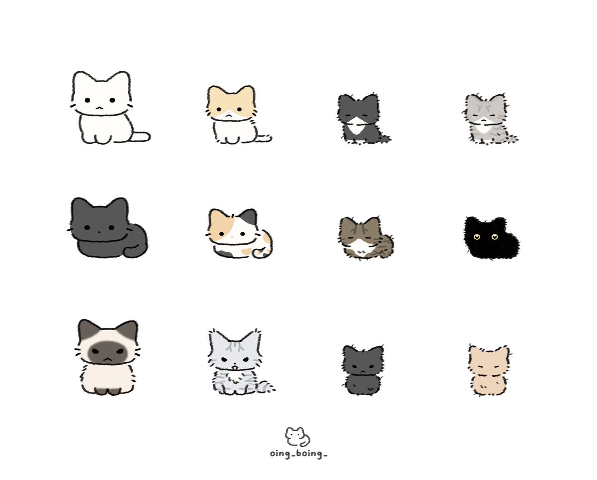 세계 고양이의 날🐱