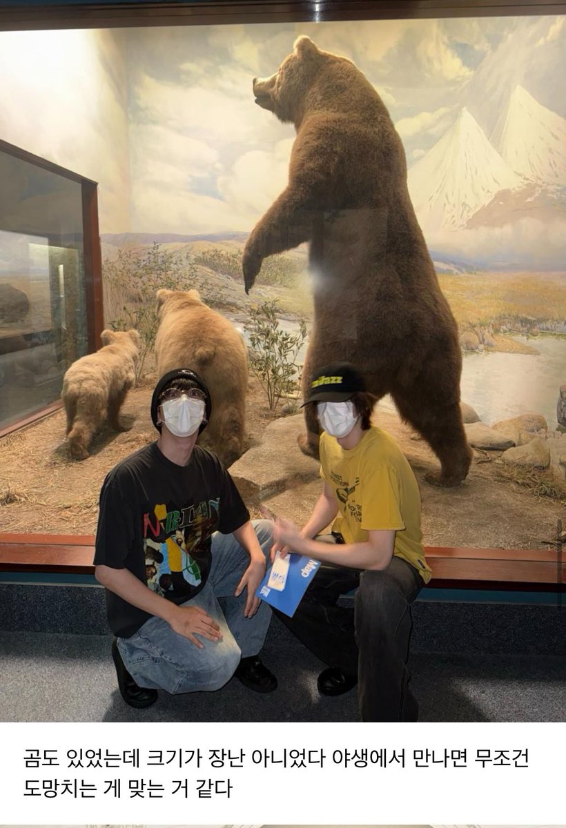 시발 곰 야생에서 만나면
무조건 도망치는게맞는거같ㅇ다 ㅇㅈㄹ
그럼뭐싸울라고햇나
아웃겨서토할거같아