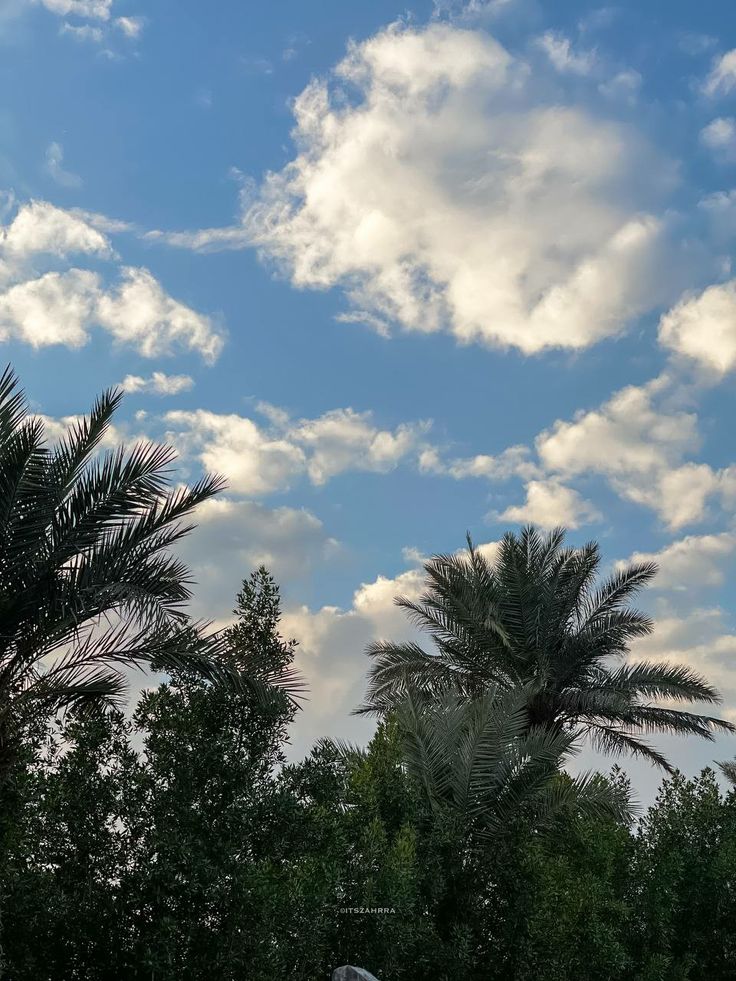 Rashid (@rashidal3mrii2) on Twitter photo 