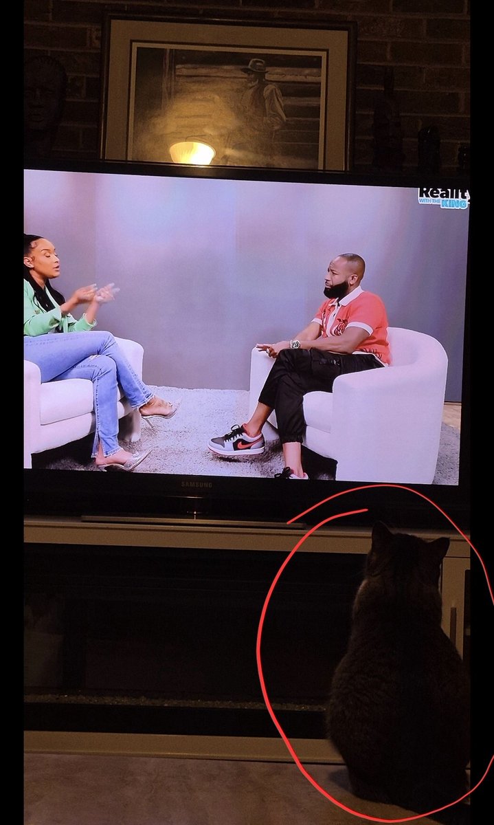 #KamalaWon! (@repubsrevil) on Twitter photo My cat has never sat still longer than 5 minutes to watch ANYTHING on TV. He's been sitting here for 30 minutes watching <a href="/thecarlosking_/">Carlos King</a> . 😻 😺 🐱 #RealityWithTheKing My cat has never sat still longer than 5 minutes to watch ANYTHING on TV. He's been sitting here for 30 minutes watching <a href="/thecarlosking_/">Carlos King</a> . 😻 😺 🐱 #RealityWithTheKing