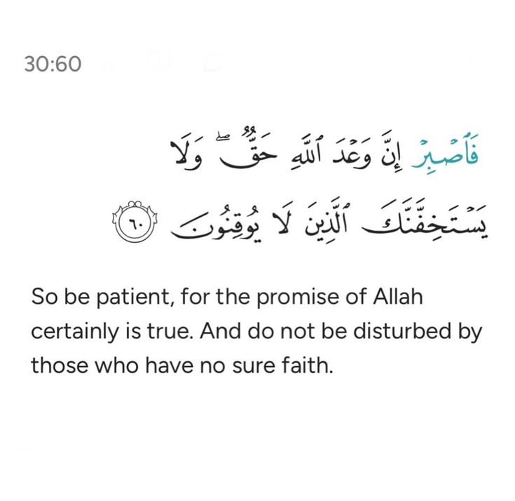 Verse of the day