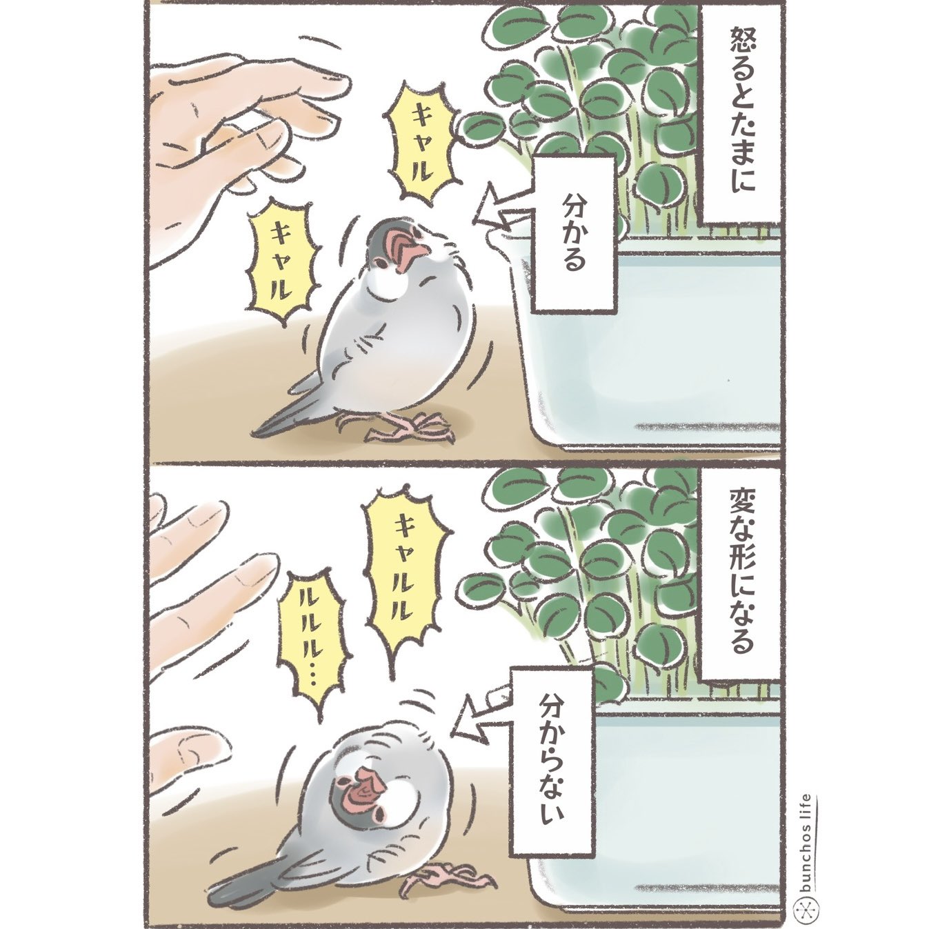 こむぎこページ E8h7XyWx_200x200.jpg