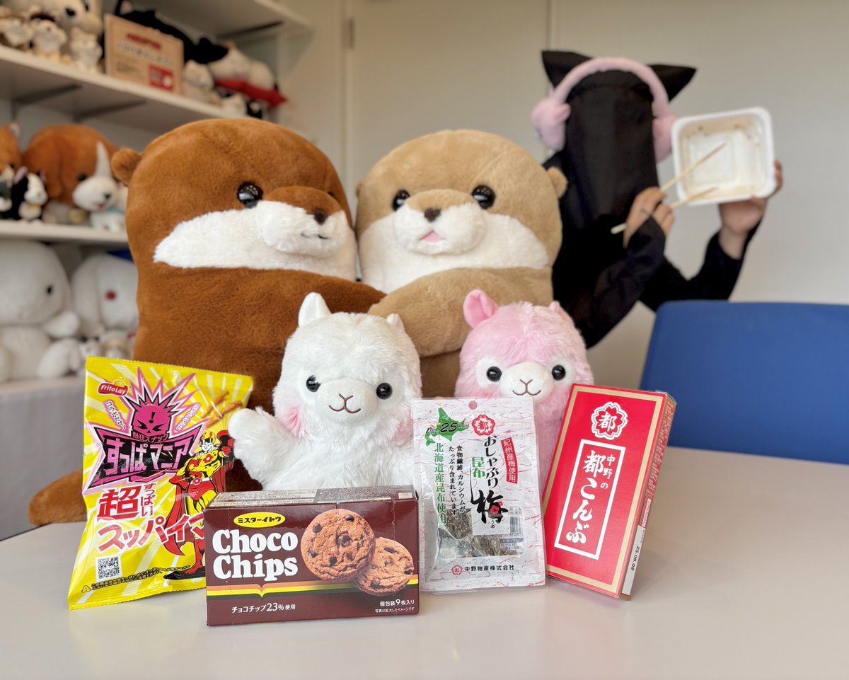 ayumi✩様お取置き ぬい服 着ぐるみ お座り ベビー デビル 黒猫&天使白猫 アミューズ AMUFUN【公式】 (@AMUSE_japan) / X