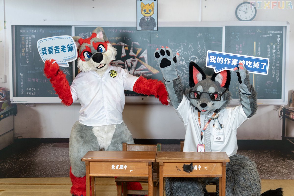 不是我沒做功課，是應為我家的鴿子把作業變成鳥窩了😩
黑鉄老師請多原諒✌️

📷 <a href="/skyhuxin/">天狐Tian_Hu</a>
#FursuitFriday #UTFG2025