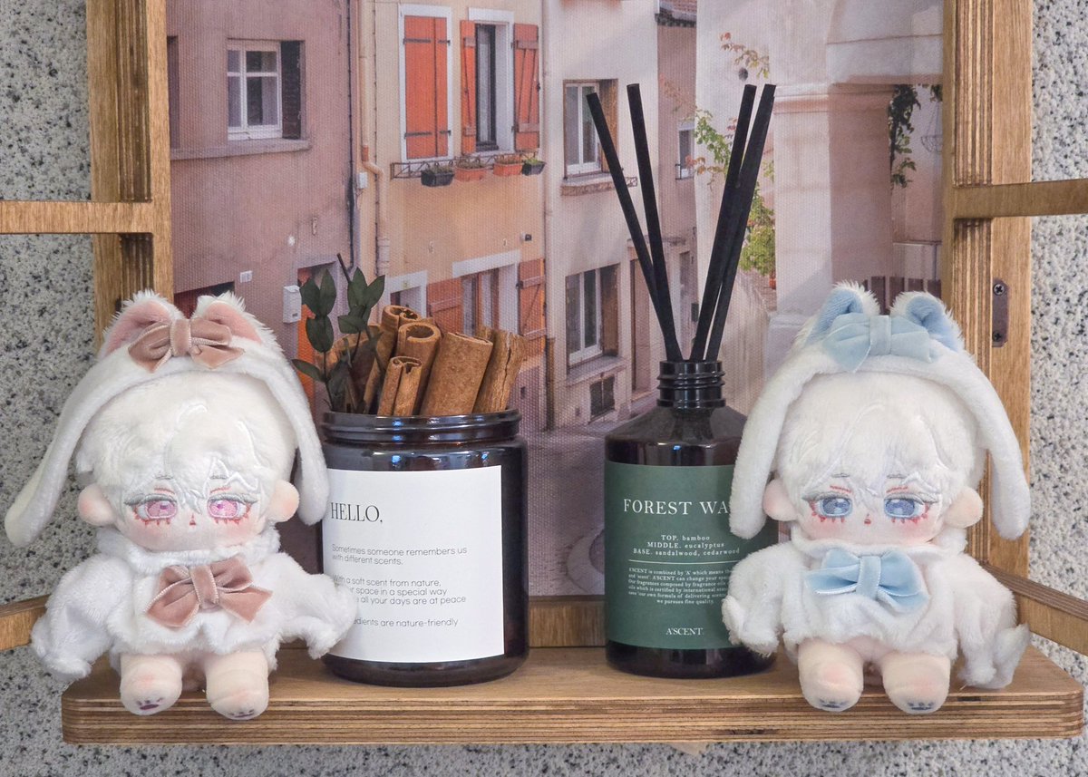 <에필 sp 입금폼>
🩵코튼 &amp; 캔디🩷

🗓 11일 월요일 9시 9분 ~ 1분간 무제한

RT추첨 한 분께 코튼 캔디 중 한 체를 드립니다
  ㄴ 생완 후 추첨 !! 

폼 내용을 잘 읽어주신 뒤에 참여해 주세요🫶🏻

fondee.io/room/room_view…

#무솜인덕장터  #국내_무속성