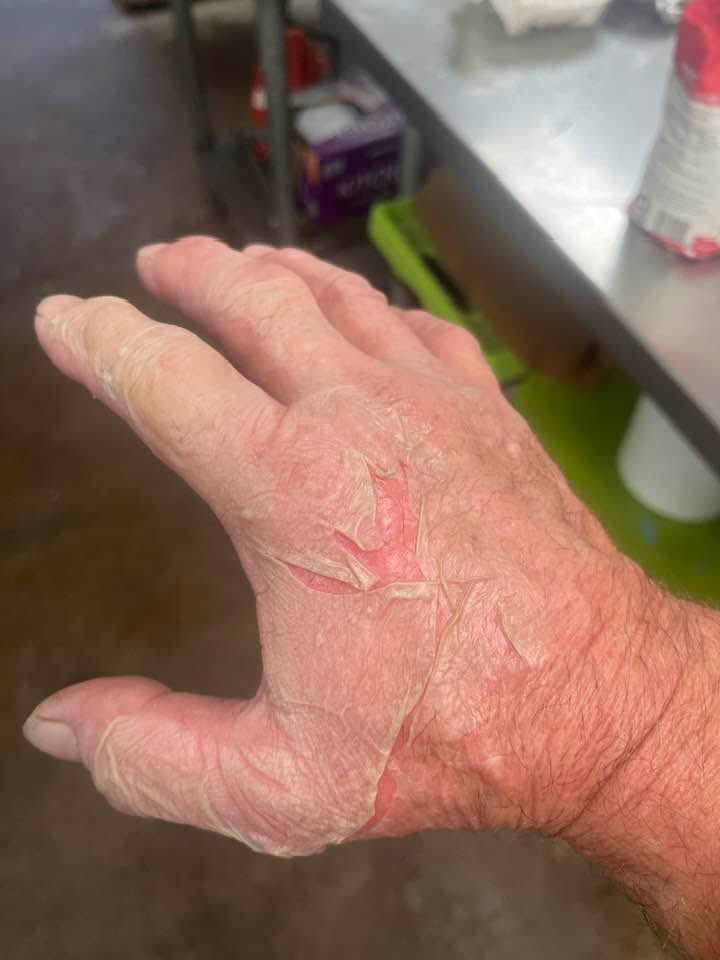 Americana Mama (@americanamama_) on Twitter photo 