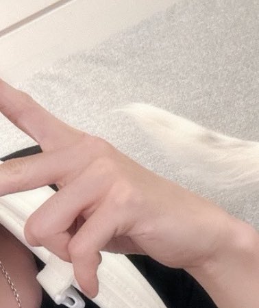 어라라 저 꼬리는