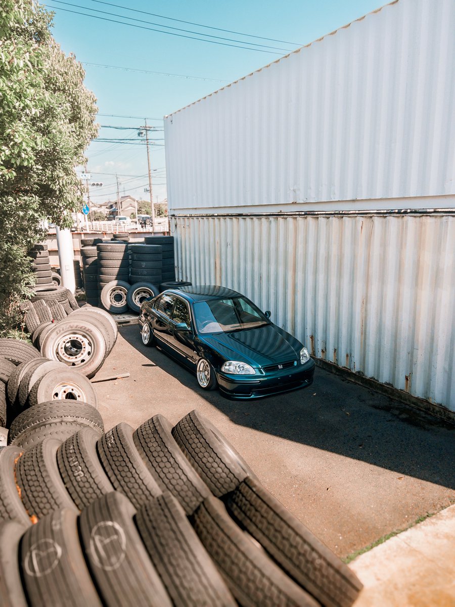 だいち tweet media