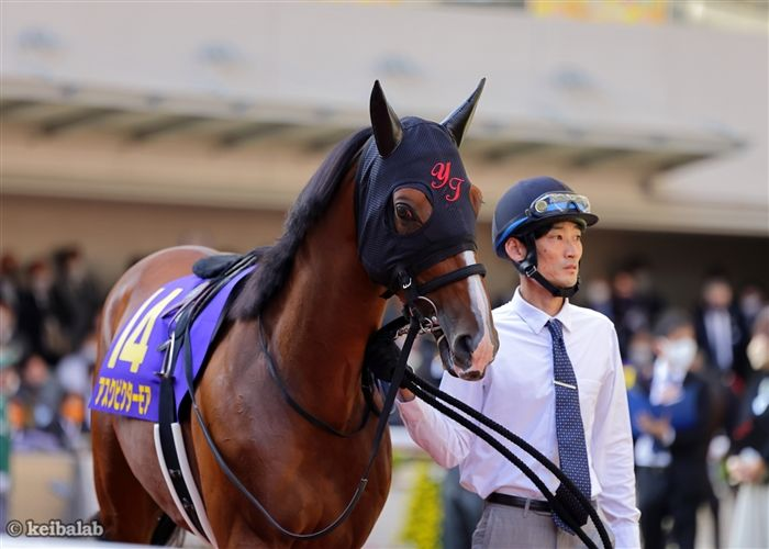 ウマ好き! (@cn_umasuki) / Posts / X