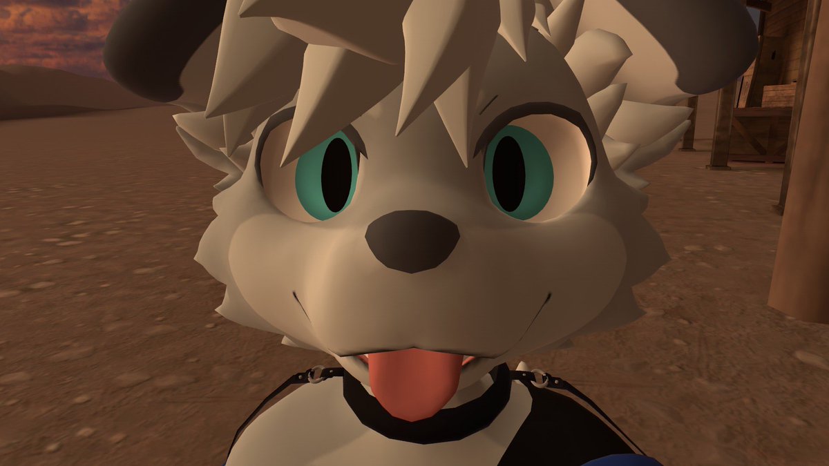 Gay fucking dog