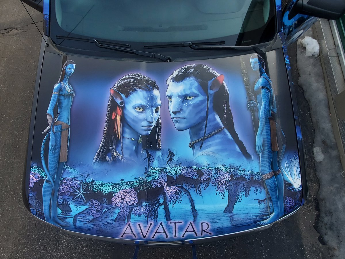 Mr Avatar tweet media