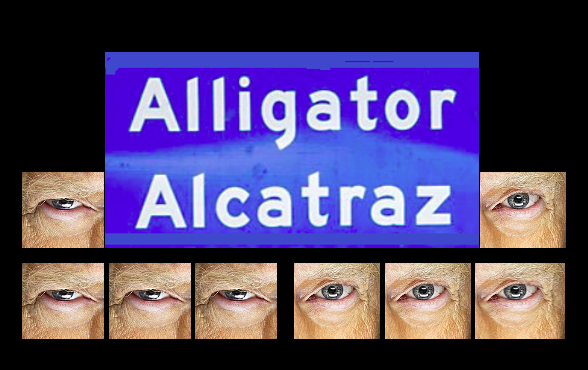 Transcribo: Festín del miedo transcribo1.blogspot.com/2025/08/festin…