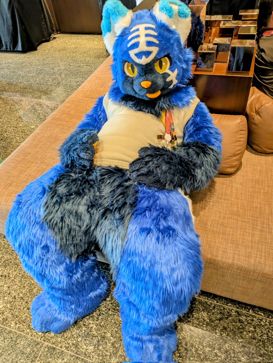 午休時間，吃飽飯，來我肚肚躺一下吧w

📷: 🐏

#FursuitFriday
