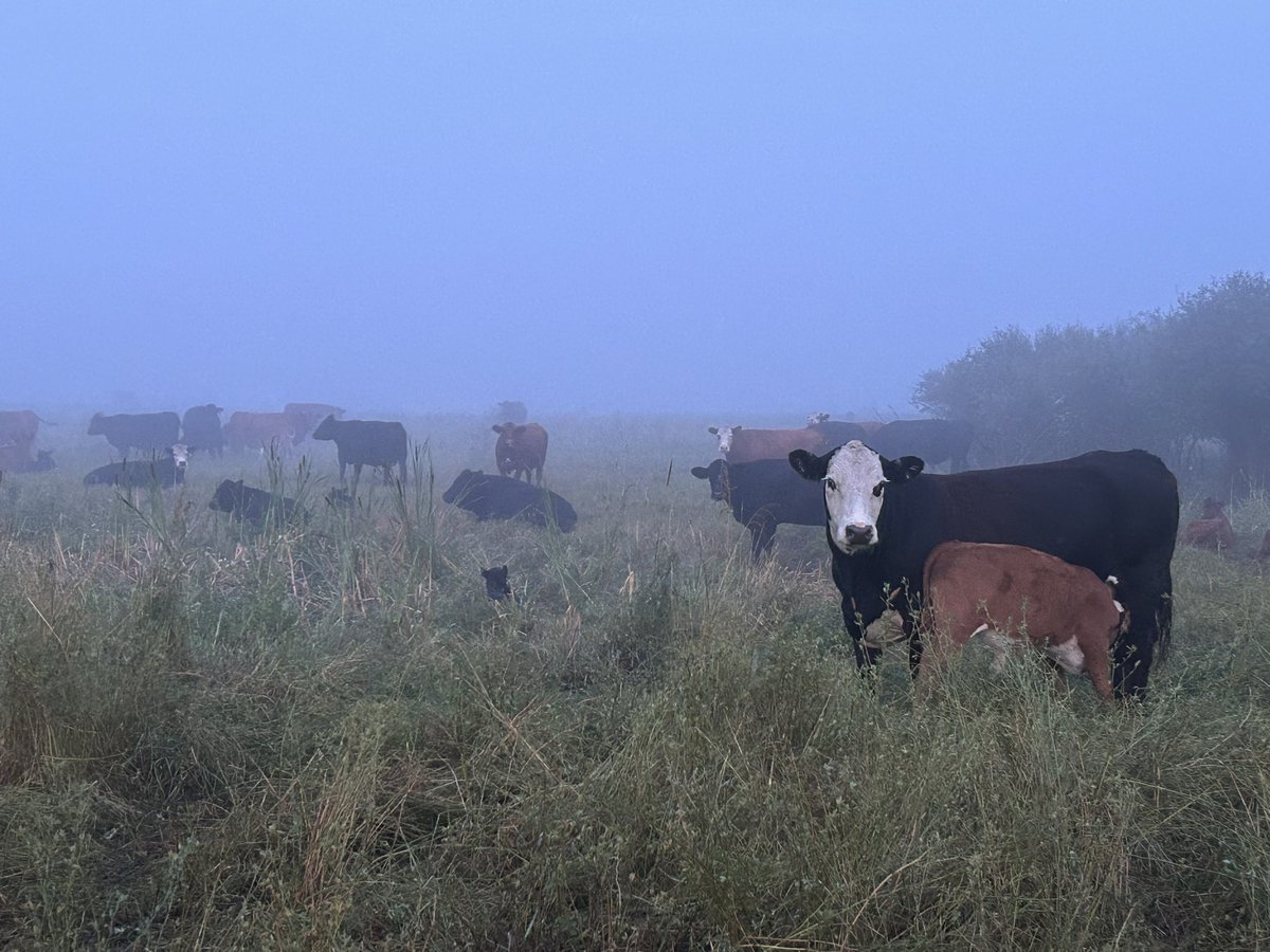 It never gets old. 
#teetwo
#ourfoodhasastory
#ranchlife