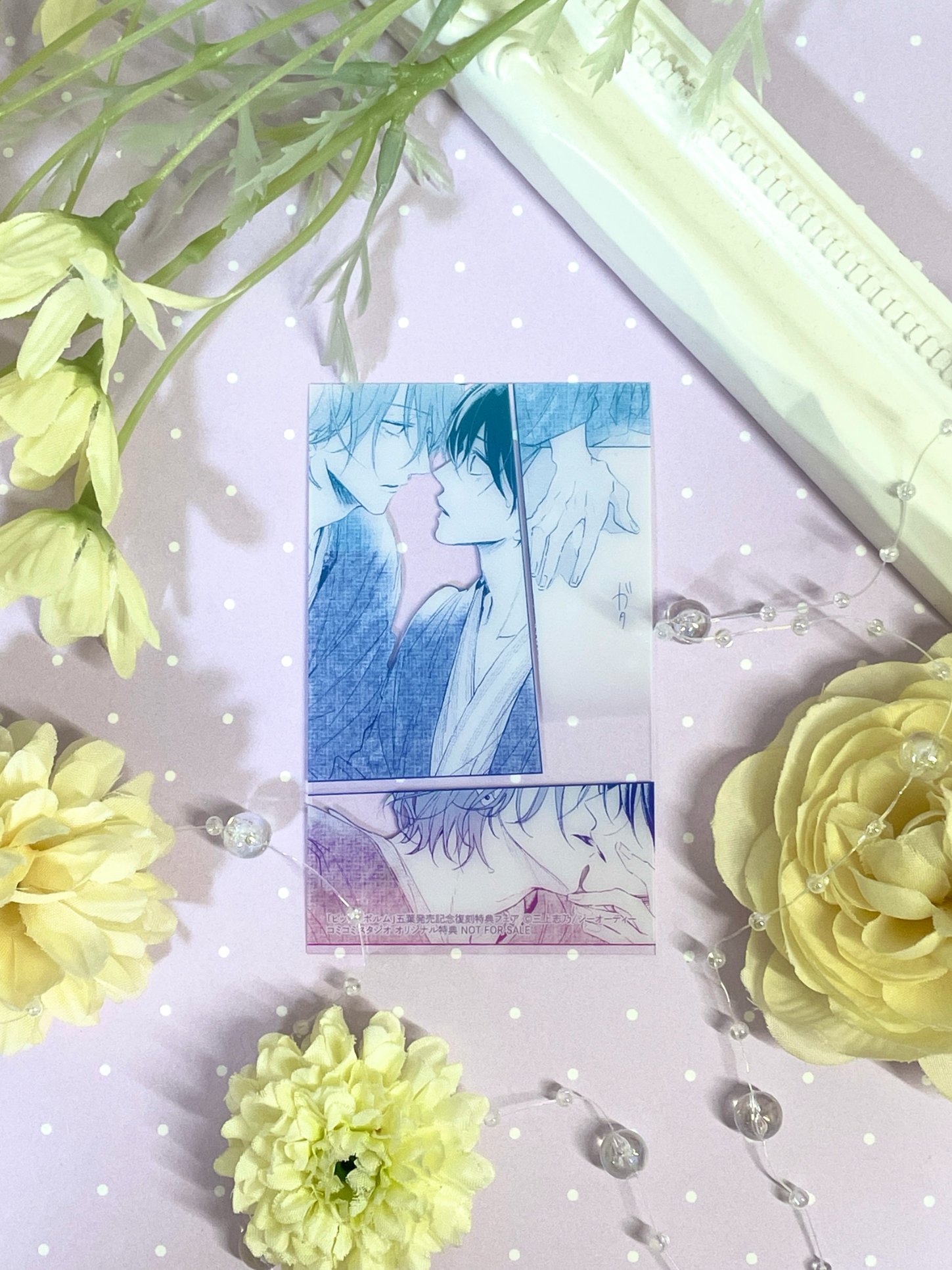 三上志乃先生『ピットスポルム』コミックス&ドラマCDセット！ Amazon.co.jp: 三上志乃先生ピットスポルムコミックスドラマC D