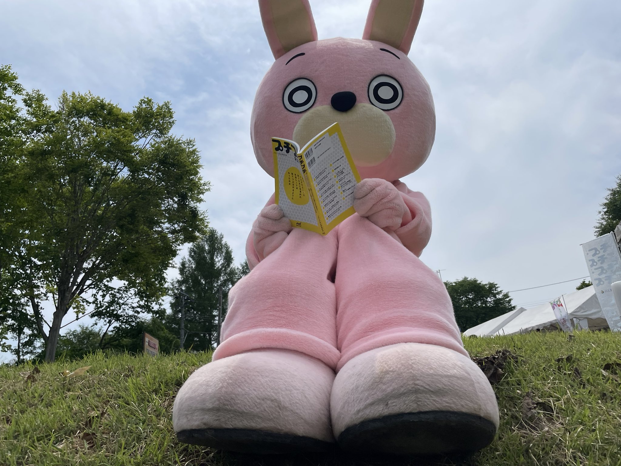 チビもも AZONE INTERNATIONAL::えっくす☆きゅーと::商品詳細
