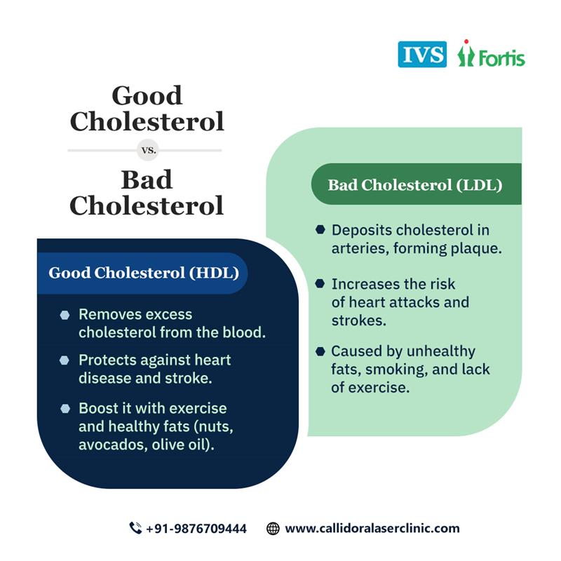 callidora_laser's tweet image. Cholesterol impacts vascular health—HDL keeps arteries clear, reducing the risk of diseases like PAD and stroke, while LDL causes plaque buildup, raising heart attack and stroke risk.
bit.ly/3ULougB
#HDL #goodcholesterol #LDL #badcholesterol #peripheralarterydisease