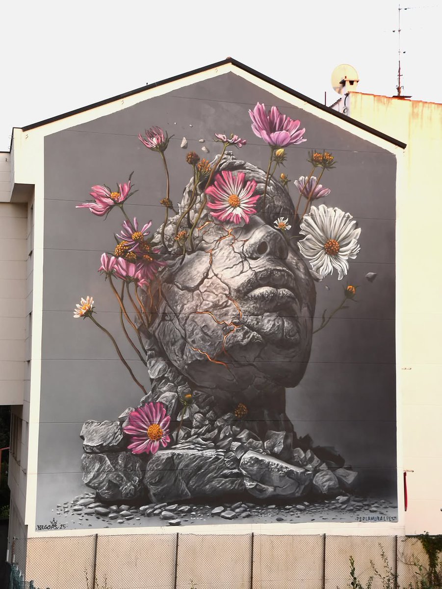Paula_graffiti's tweet image. 🎨Diego AS📍Fene, Spain 🇪🇸 
StreetArt 
Buon giorno ☀️🌸