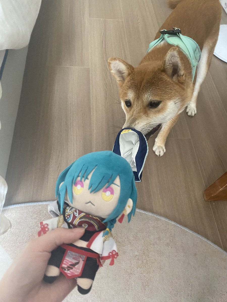 芹菜饺子 (@happyceleryisme) on Twitter photo 