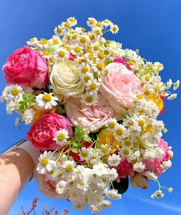 𝓘𝓼𝓂𝒶𝒾𝓁 𝐾ℎ𝑎𝑛ᴵᴷ 🇵🇰 (@its___ik) on Twitter photo السلام علیکم 
صبح بخیر ❤️
 
دلوں میں نفرتیں نہیں پیدا کرتے،
اپنوں کے لیے دل کا ایک حصہ وقف کرنا پڑتا ہے
"رشتے قربانی مانگتے ہیں۔۔۔🥀
#IK
#داستان_دل
  #قومی_زبان السلام علیکم 
صبح بخیر ❤️
 
دلوں میں نفرتیں نہیں پیدا کرتے،
اپنوں کے لیے دل کا ایک حصہ وقف کرنا پڑتا ہے
"رشتے قربانی مانگتے ہیں۔۔۔🥀
#IK
#داستان_دل
  #قومی_زبان