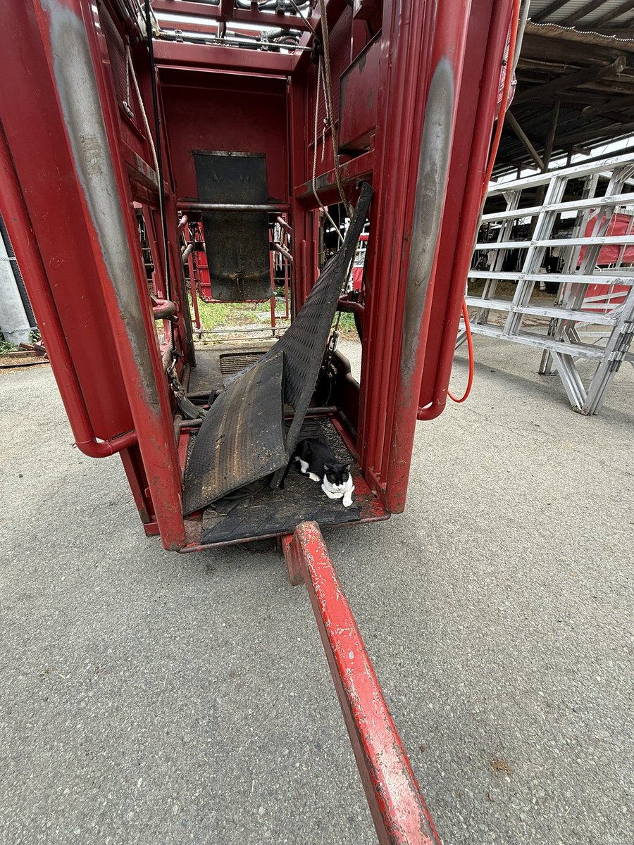 白黒だからって君の爪切りしないよ？