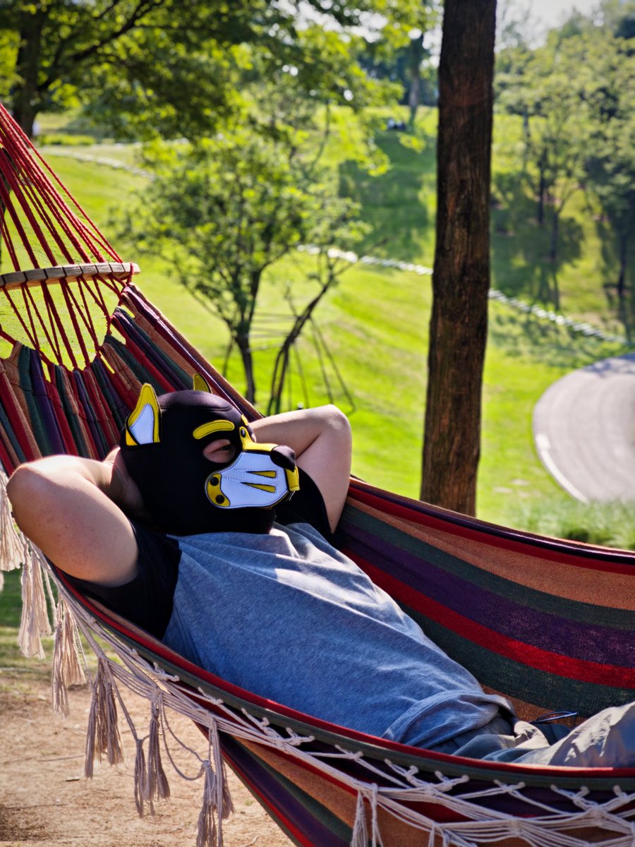 栗色小犬蜷在吊床中央，吊床便轻轻摇晃，喜欢着这一刻，以及和米沙大大的一起的静谧时光