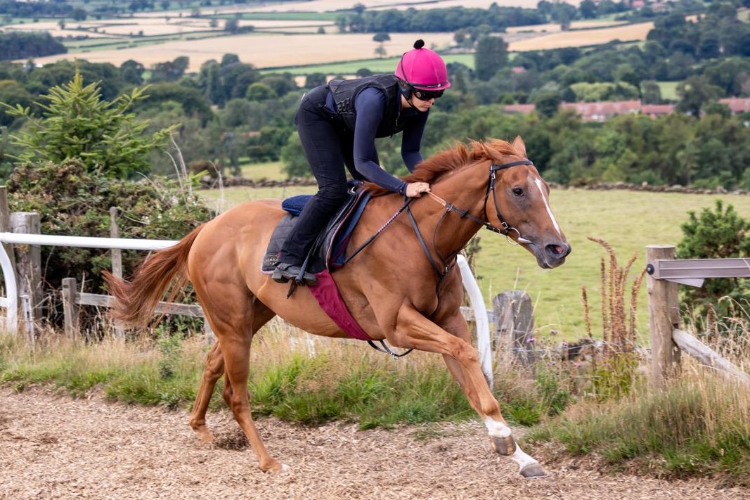 1 runner in the 8.30 <a href="/haydockraces/">Haydock Park Races</a> our <a href="/GemmaTutty/">Gemma Tutty Racing</a> trained ONE NIGHT THUNDER &amp; Kaiya Fraser takes the ride.

Good Luck To All Connections🤞🤞🤞🏇🏇🏇

#fingerscrossed <a href="/RSAsyndicates/">The Racehorse Syndicates Association</a> <a href="/GParkRacing1/">Grange Park Racing</a> #racehorseownership #syndicates #HorseRacing #sports
