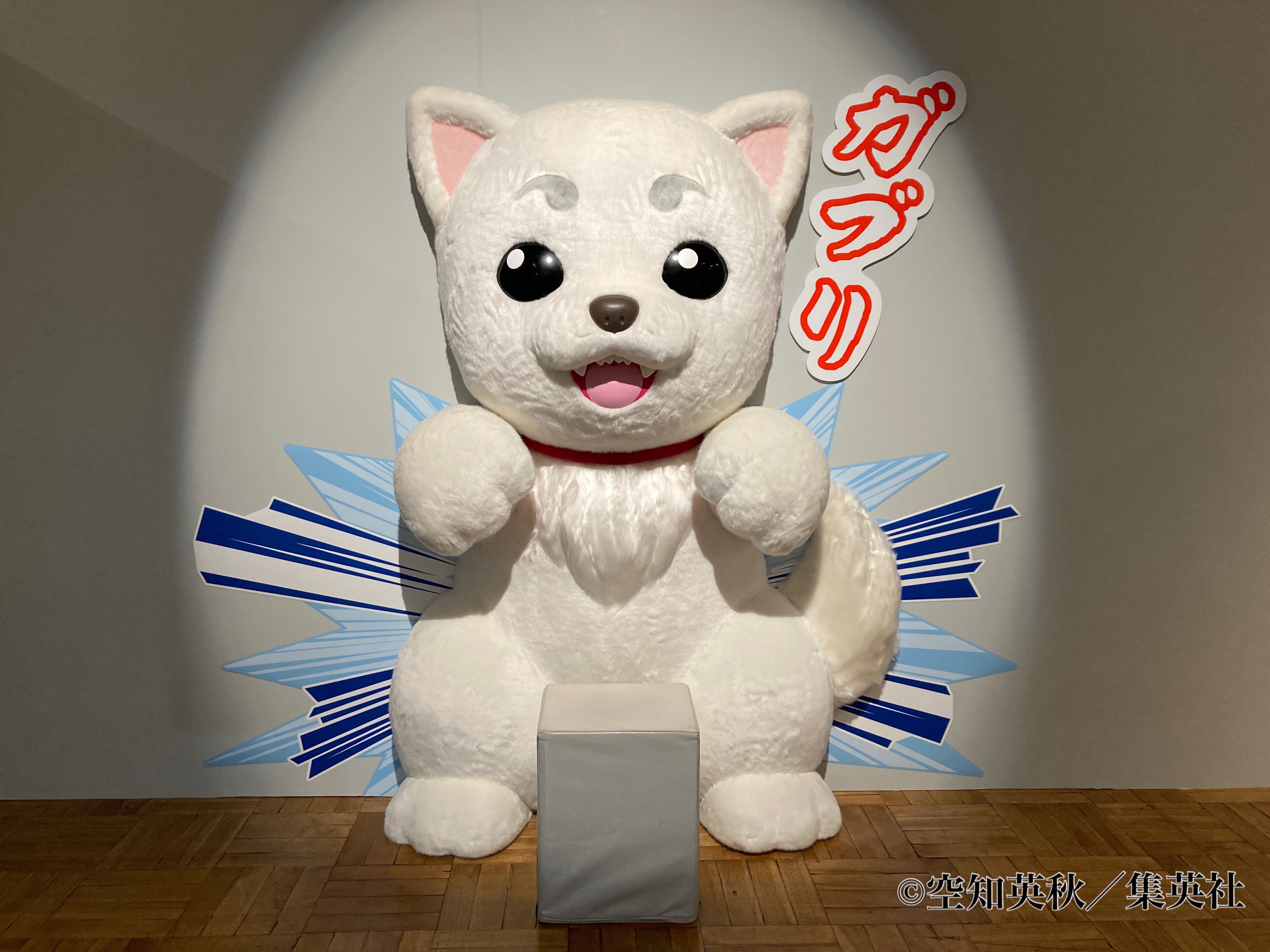 銀魂生誕20周年記念　銀魂展〜はたちのつどい〜 生誕20周年記念 銀魂展 ～はたちのつどい～